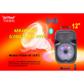 12 Inch Trolley Stage Speaker with Good Price F22S-16